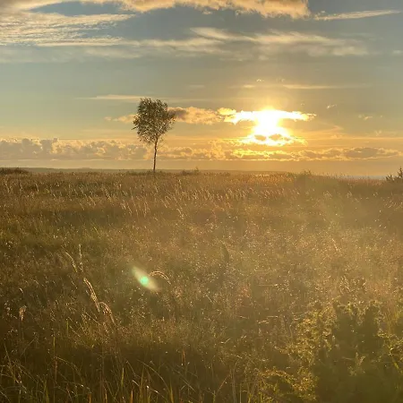 Heinalaeku Puhkemaja Loft Paope