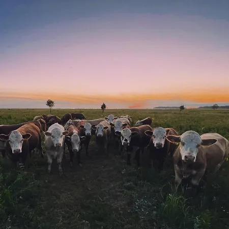 Accommodatie bij particulieren Heinalaeku Puhkemaja Loft