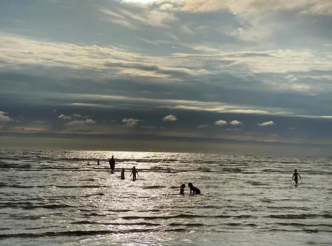 Homestay Heinalaeku Puhkemaja Loft Paope