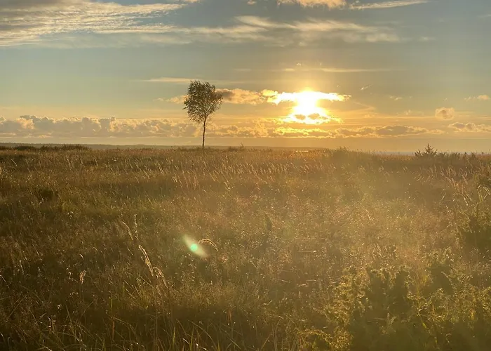 Heinalaeku Puhkemaja Loft Paope