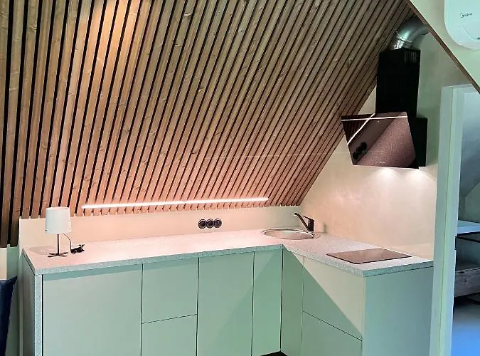 Heinalaeku Puhkemaja Loft Homestay *