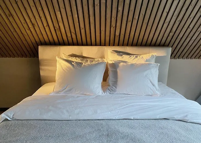 Heinalaeku Puhkemaja Loft Homestay *